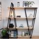 Дизайнерський Стелаж в стилі Loft Design 160x34x180h Чорний/Дерево ATL037 ATL037 фото 2