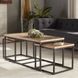 Дизайнерський журнальний стіл в стилі Loft 100x50x45h Чорний/Дерево ATL289 ATL289 фото