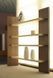 Дизайнерский Стеллаж в стиле Loft Design 200x40x200h Бежевый/Дерево ATL861 ATL861 фото