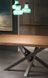 Дизайнерський Кухонний обідній стіл з натурального дерева Loft Design 220x80x75h Чорний / Дерево ATL794 ATL794 фото 9